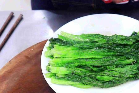 油白菜过水能放冰箱冷冻吗