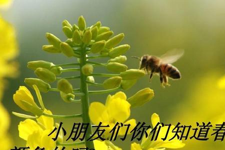 形容春天好的拟人成语
