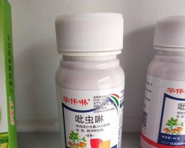 吡虫啉不能打什么