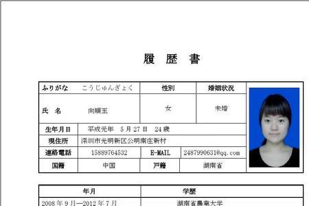 什么是履历书