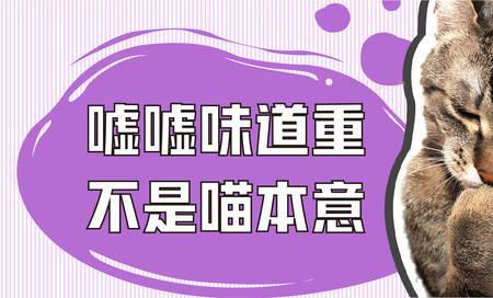 公猫气味大怎么办