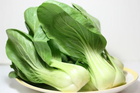 小白菜是尖叶还是阔叶