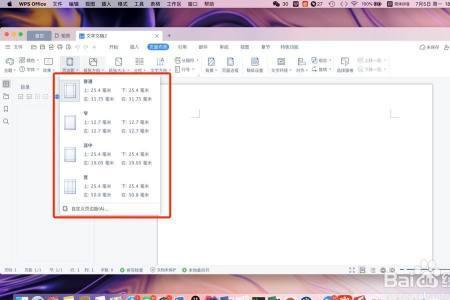 wps怎么添加一样的页数