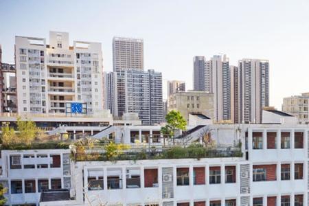 深圳市华文学校教学怎样