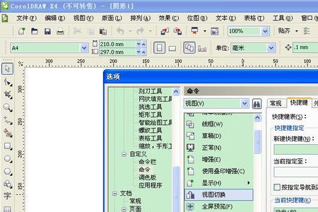 cdr全屏预览怎么会有桌面文件显示