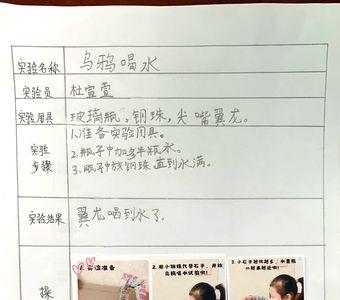 一年级小实验总结怎么写