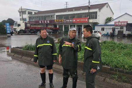 鲁丽集团是国企吗