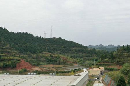 四川种猪场前十排名