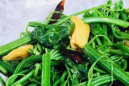 瓜尖可以炒豆腐吗