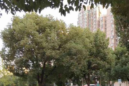 吴江永鼎医院上午几点上班