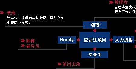 项目生岗位有什么好处