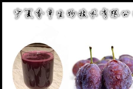 ezz西梅汁怎么样
