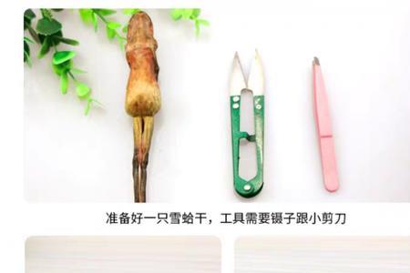 林蛙为什么不剥皮