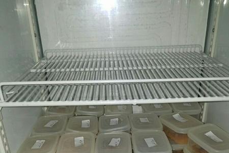 食品留样存放共用冰箱什么区域