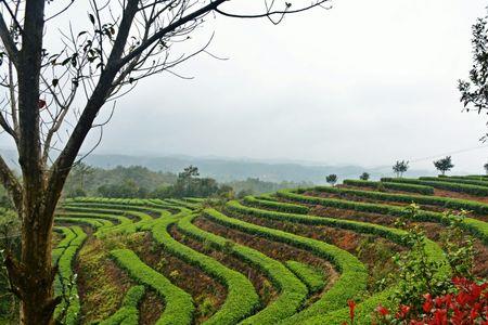 松花寨景点