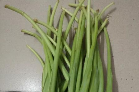 生芋头掉进马桶里了咋办