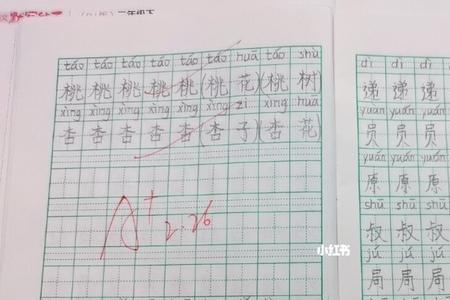 书写体系什么意思