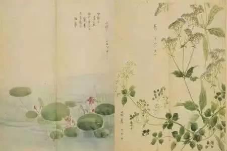 诗经的前四句是谁写的