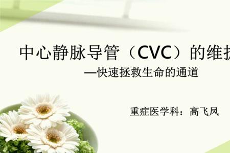 cvc的定义
