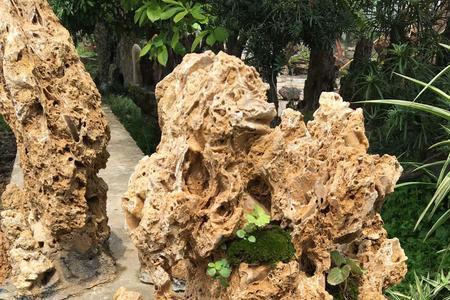 福建吸水石产地