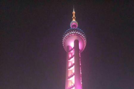 上海仿生塔多少层