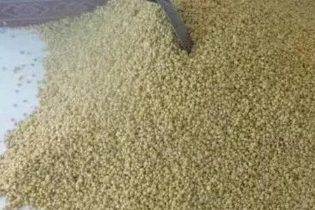 玉米酒甲醇高的原因