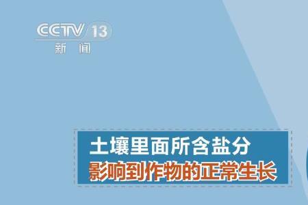 环渤海盐碱地改造原理