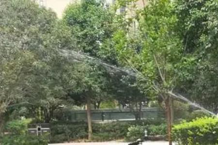 南京绿化浇水用的是哪里的水