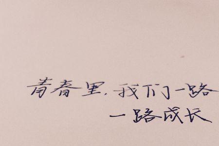某人是某人的青春啥意思