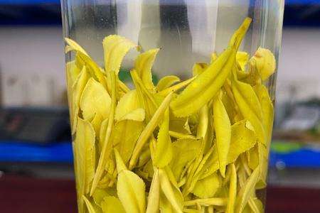 小金叶是什么茶