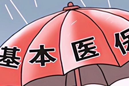2023年河北新农合怎么交