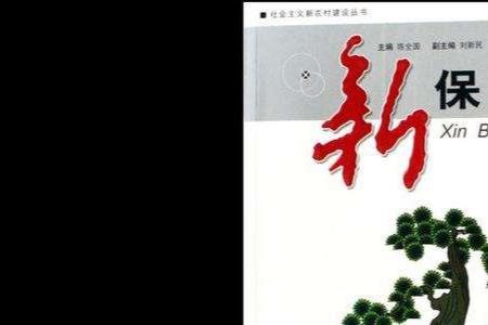 重要保障是什么意思