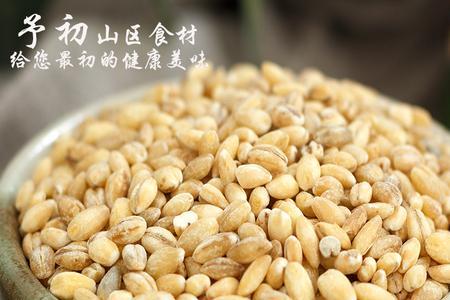 麦仁怎么煮快速烂