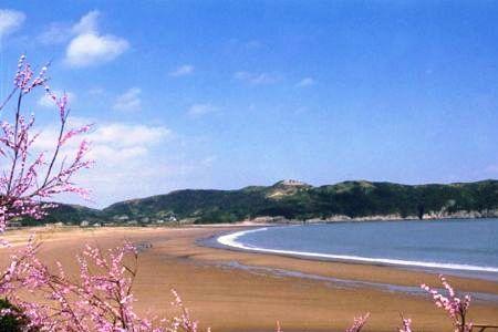 舟山桃花岛哪里有做核酸检测
