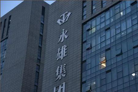 湖南永雄集团正规吗