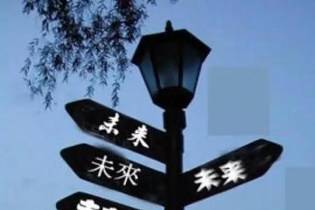 好迷茫是什么意思