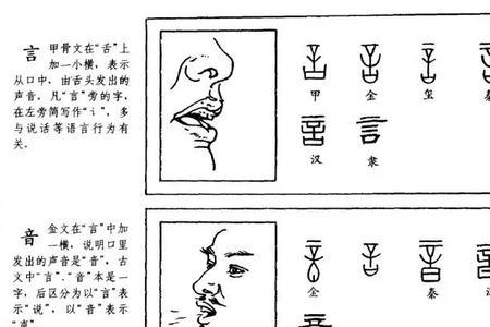 枯字的演变过程