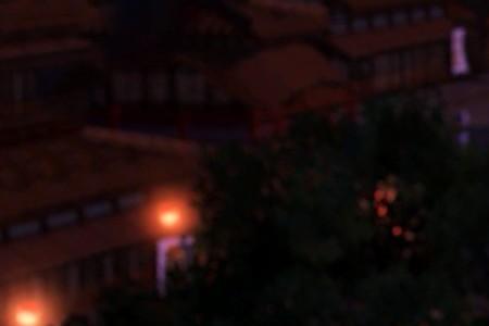 司马艳珂简介