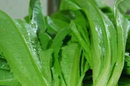 芸苔素能让莴笋节间伸长吗
