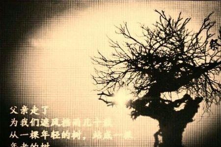 父亲去世三周年纪念放什么歌曲