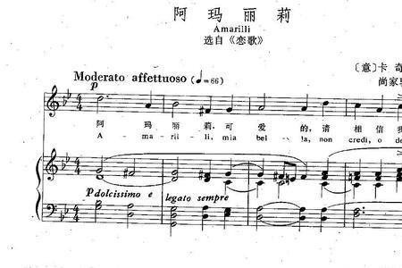 阿利玛什么意思