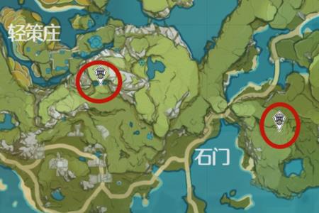 原神雷灵笼位置