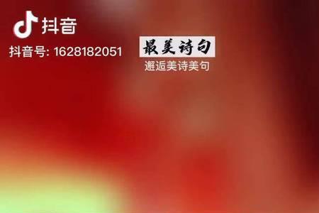 赞美婚礼现场的七律诗词