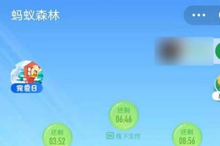 如何成为支付宝绿色供应商