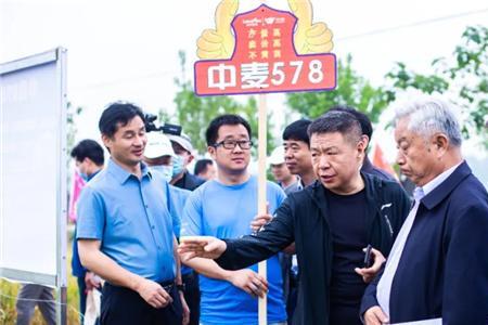 金沙河蓝色袋面能蒸馒头吗