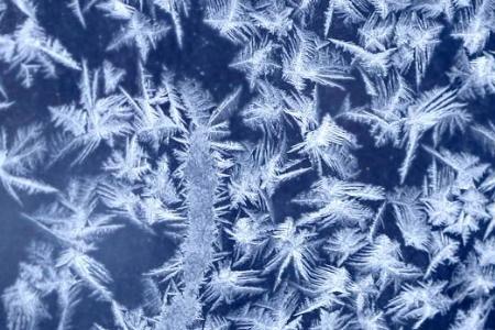 雪花像什么一样飘落