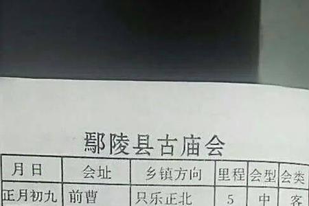 潮汕各村庙会时间表