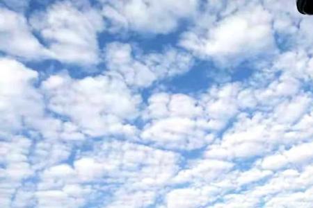 夏天傍晚鱼鳞云代表什么天气