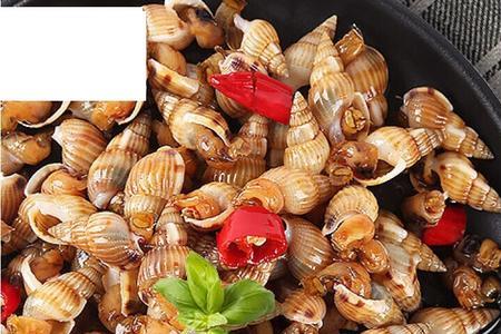 炒干海螺的做法