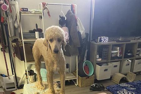 巨贵几个月换牙
